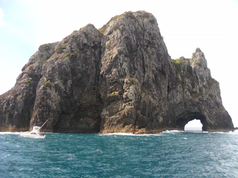 'Hole in the Rock', Bay of Islands Thumb