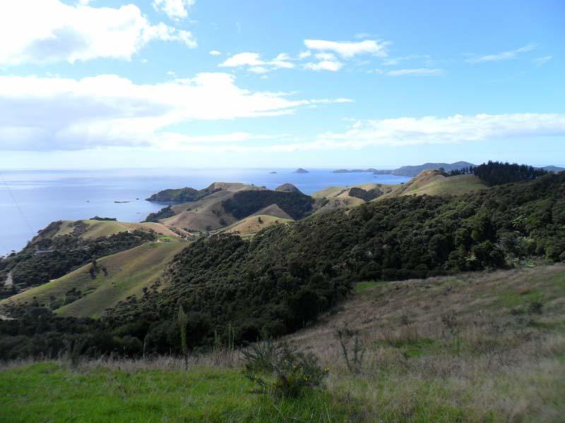 View from Tourist Drive near Matauri Bay, Northland Thumb